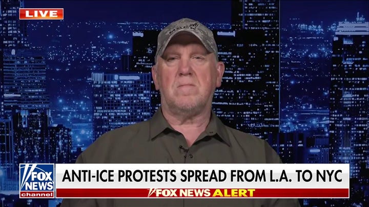 ICE ‘not going to apologize’ for enforcing the law, says ‘border czar’