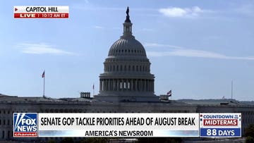 Senate Republicans race to tackle priorities before August recess