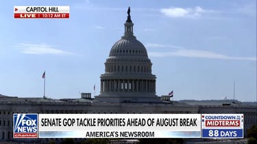 Senate Republicans race to tackle priorities before August recess