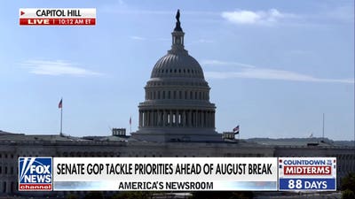 Senate Republicans race to tackle priorities before August recess