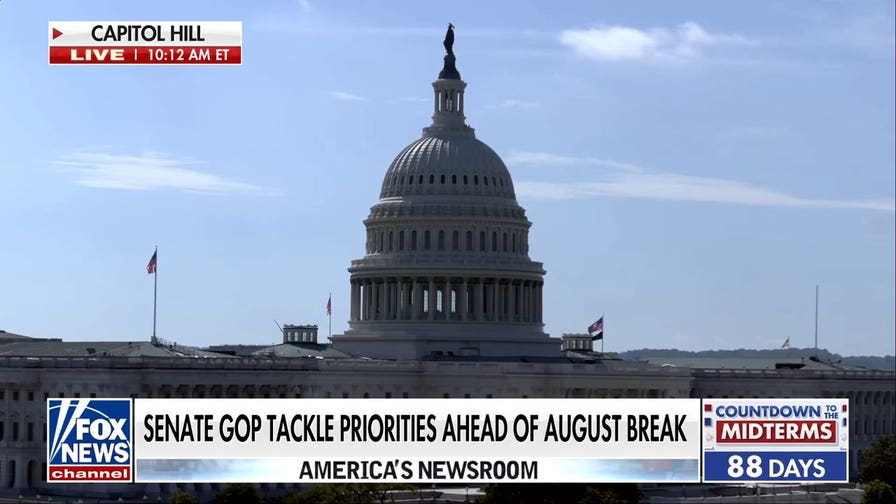 Senate Republicans race to tackle priorities before August recess