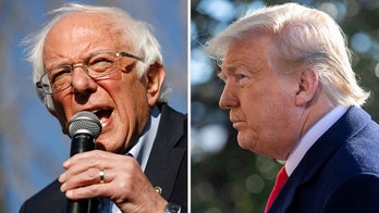 Newt Gingrich: Trump vs. Bernie Sanders and the Democrats – The statesman beats the food fighters
