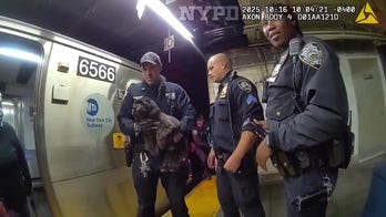 NYPD officers rescue missing dog from underneath Manhattan subway train