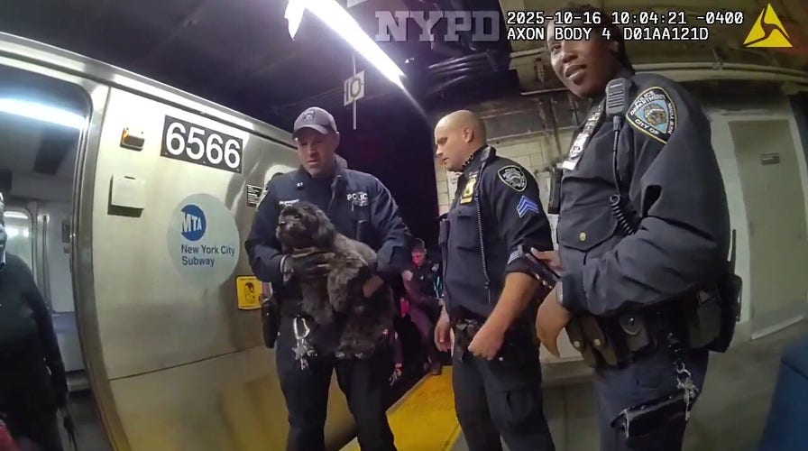 NYPD officers rescue missing dog from underneath Manhattan subway train