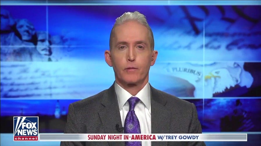 Gowdy: The GOP argument is to have a competent federal government