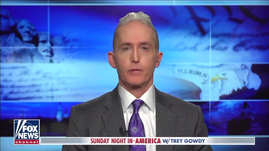 Gowdy outlines game plan for Republicans heading into midterms: It’s about ‘government competence’
