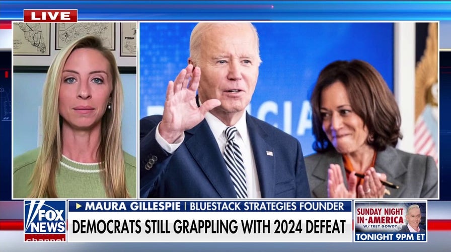  Political strategist says the ‘trustworthy factor’ cost Kamala Harris and Democrats 2024 elections
