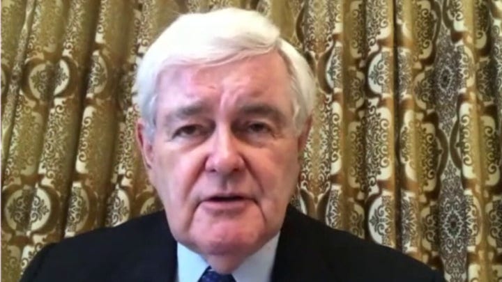 Newt Gingrich: American values, patriotism 'under siege' from social media groups