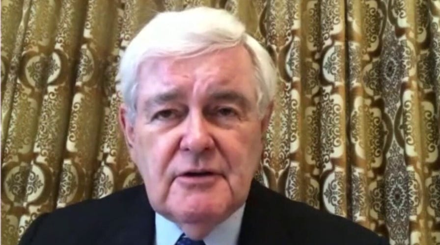 Newt Gingrich: American values, patriotism 'under siege' from social media groups