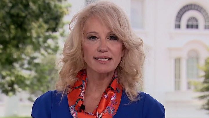 Conway calls out Dems: It's easier to 'bellyache belligerently' than it is to help people