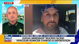 Illegal immigrant truck driver 'could be facing life in prison,' Florida sheriff says