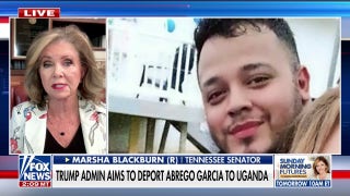 Sen. Marsha Blackburn: No one wants more MS-13 or Tren de Aragua in their communities