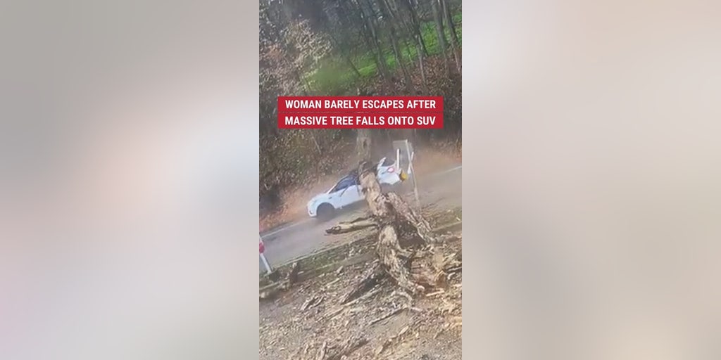 Woman barely escapes after massive tree falls onto SUV