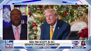 Sen Tim Scott praises Trump for consistently delivering economic ‘goodies’ to Americans