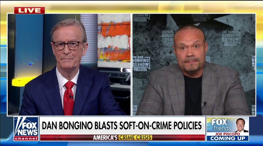 Bongino: The radical left loves chaos