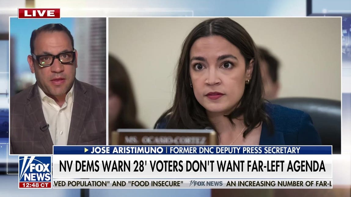 The Democratic Party needs to pursue common-sense solutions, former DNC official says