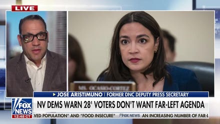 The Democratic Party needs to pursue common-sense solutions, former DNC official says