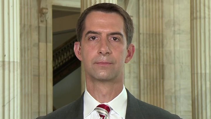 Sen. Cotton reacts to NY Times in ‘open revolt’: Woke progressives who claim to defend liberal values