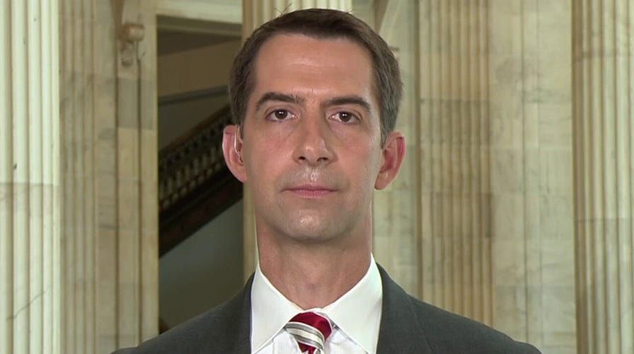 Sen. Cotton reacts to NY Times in ‘open revolt’: Woke progressives who claim to defend liberal values
