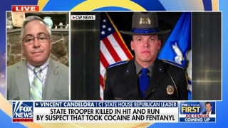 Connecticut state trooper killed in fentanyl and cocaine-induced hit-and-run incident - Fox News