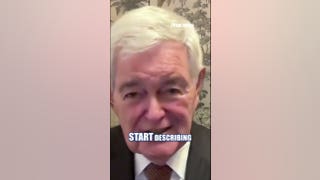 Newt Gingrich warns of 'incipient civil war' inside Democratic Party