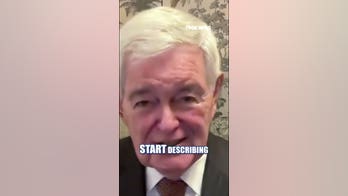 Newt Gingrich warns of 'incipient civil war' inside Democratic Party