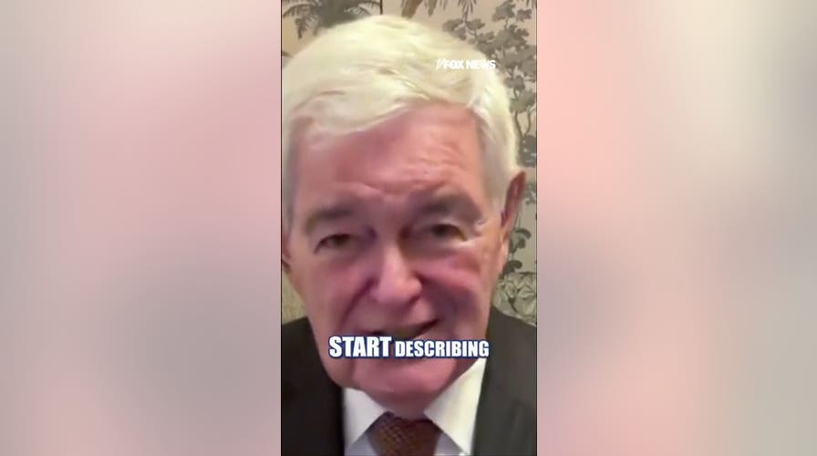 Newt Gingrich warns of 'incipient civil war' inside Democratic Party