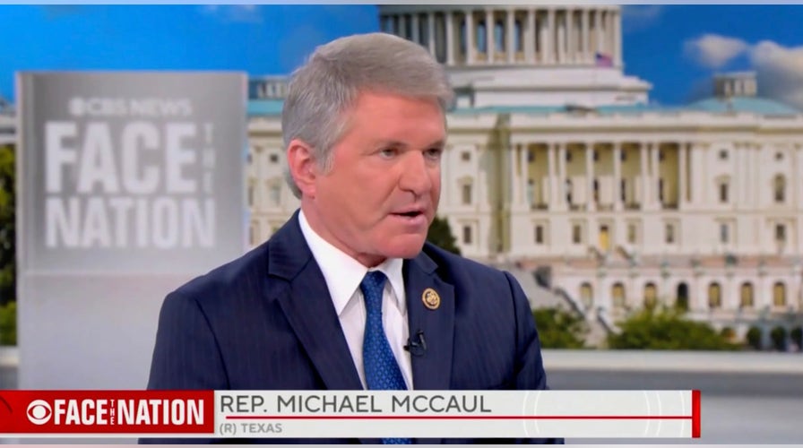 McCaul says Trump administration's detainments should prioritize 'aggravated felons' in deportation