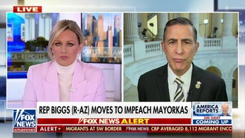 Rep. Darrell Issa calls on Sec. Mayorkas to step down: He's 'not capable' of containing border crisis