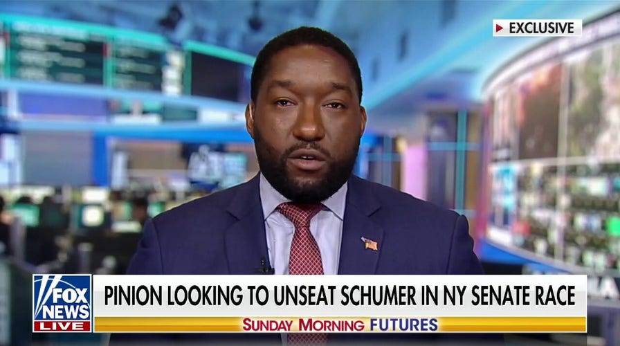 Chuck Schumer has his ‘fingerprints’ on everything that has ‘gone wrong’ in politics: NY Senate candidate