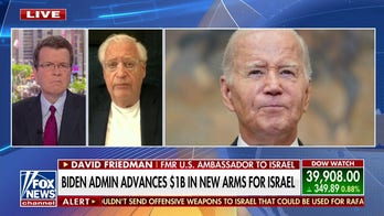 David Friedman: Biden's $1B in new arms for Israel 'won't get there in time'