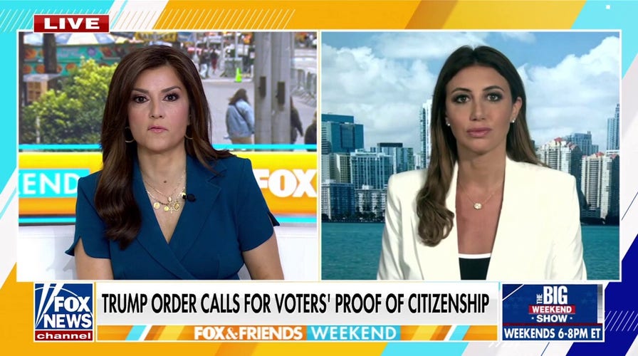 Alina Habba grills Dems' 'absolutely absurd' effort to undermine executive order requiring citizenship to vote