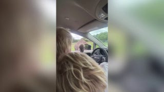 Former British PM Boris Johnson and family attacked by an ostrich - Fox News