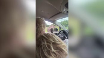 Former British PM Boris Johnson and family attacked by an ostrich