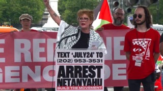 Susan Sarandon rallies anti-Israel protesters - Fox News