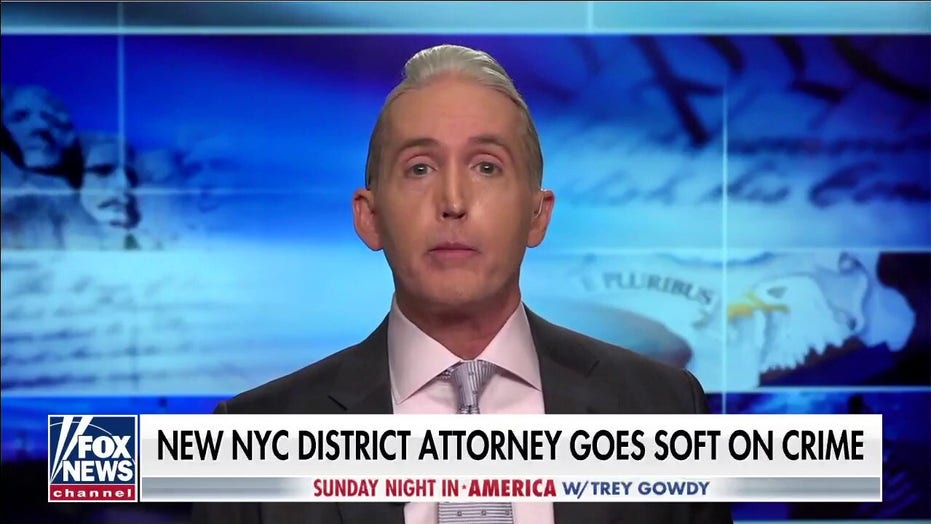 Gowdy obliterates Manhattan District Attorney for ‘hug-a-thug’ crime approach: ‘Dangerously stupid’