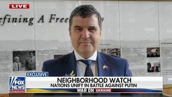 Helping Ukraine 'about our common values': Slovenian diplomat