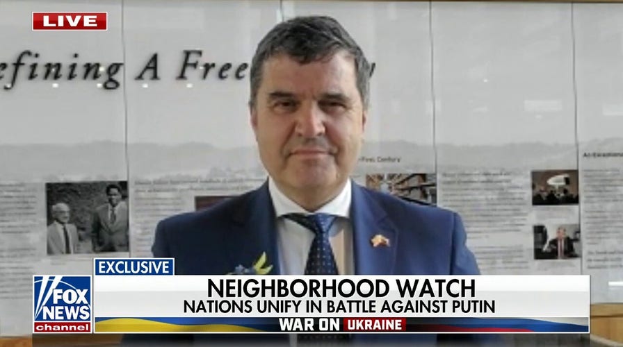 Helping Ukraine 'about our common values': Slovenian diplomat