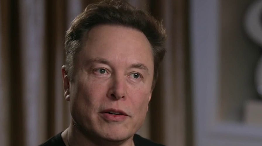 Elon Musk believes AI could 'take over' and start making decisions