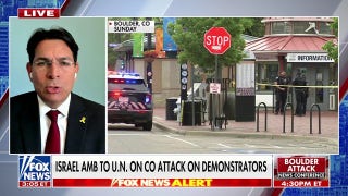 This is terrorism within the streets of the United States, Israeli permanent representative to the UN says
