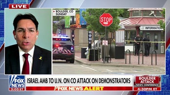 This is terrorism within the streets of the United States, Israeli permanent representative to the UN says