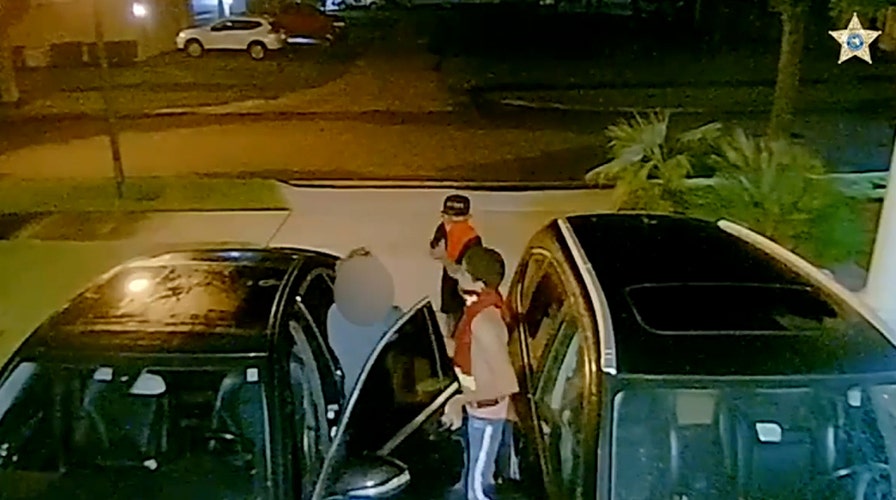 Warning, graphic video: Florida carjacking caught on security camera