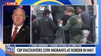 Tom Homan: 'Disgusting on every level' to punish border agents over 'whipping' incident