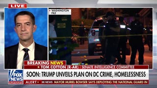Washington, DC is more dangerous than the capitals of many third-world countries, senator says
