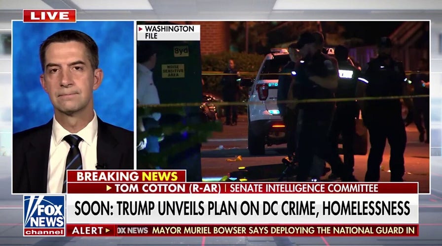 Washington, DC is more dangerous than the capitals of many third-world countries, senator says