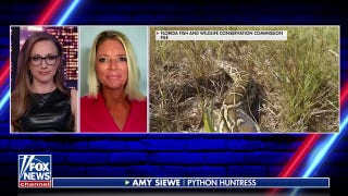 A day in the life of python huntress Amy Siewe - Fox News