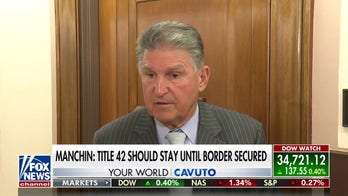 Coalition of Democrats revolt over Title 42 as midterm elections loom