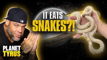 Tyrus’ Zoo: This Snake Eats OTHER SNAKES?! | Planet Tyrus