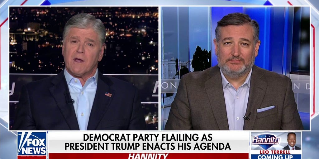 Sen. Ted Cruz says Democrats don't understand why they lost