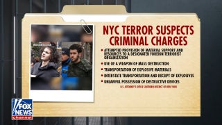 Two teens charged in suspected NYC terror plot, pledged allegiance to ISIS